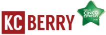 KCBerry Microcimento